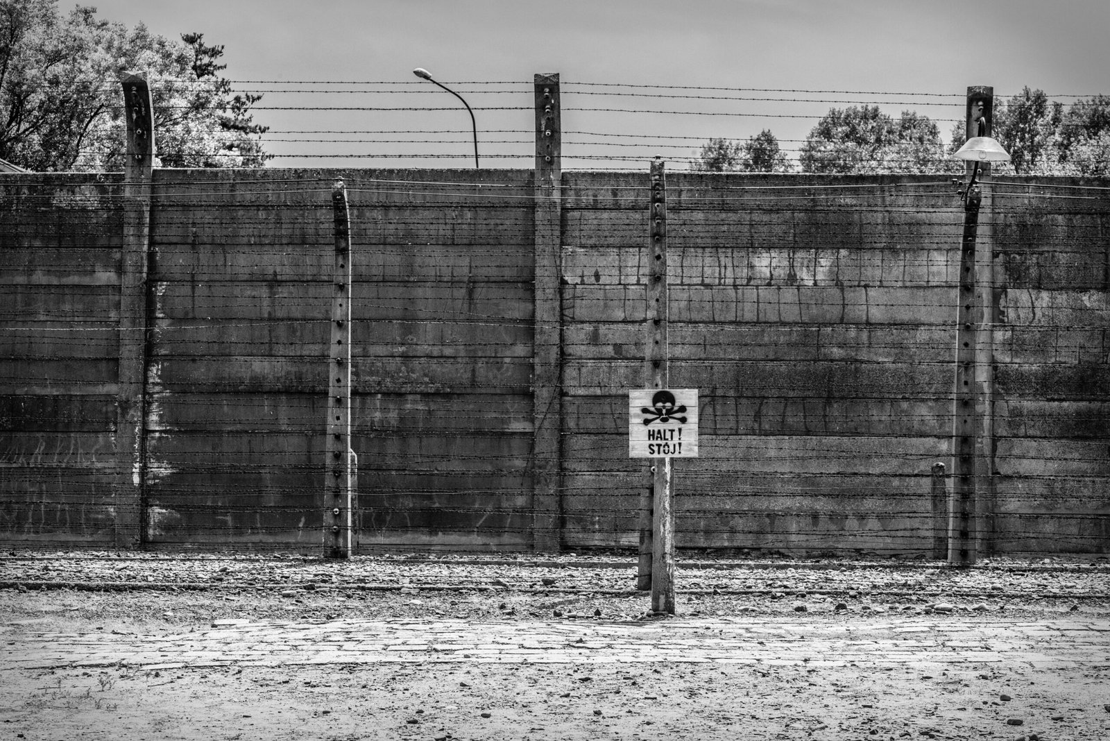 Inside Trump’s Mass Detention Camps: Rotting Food, Disease Outbreaks, and Guard Violence