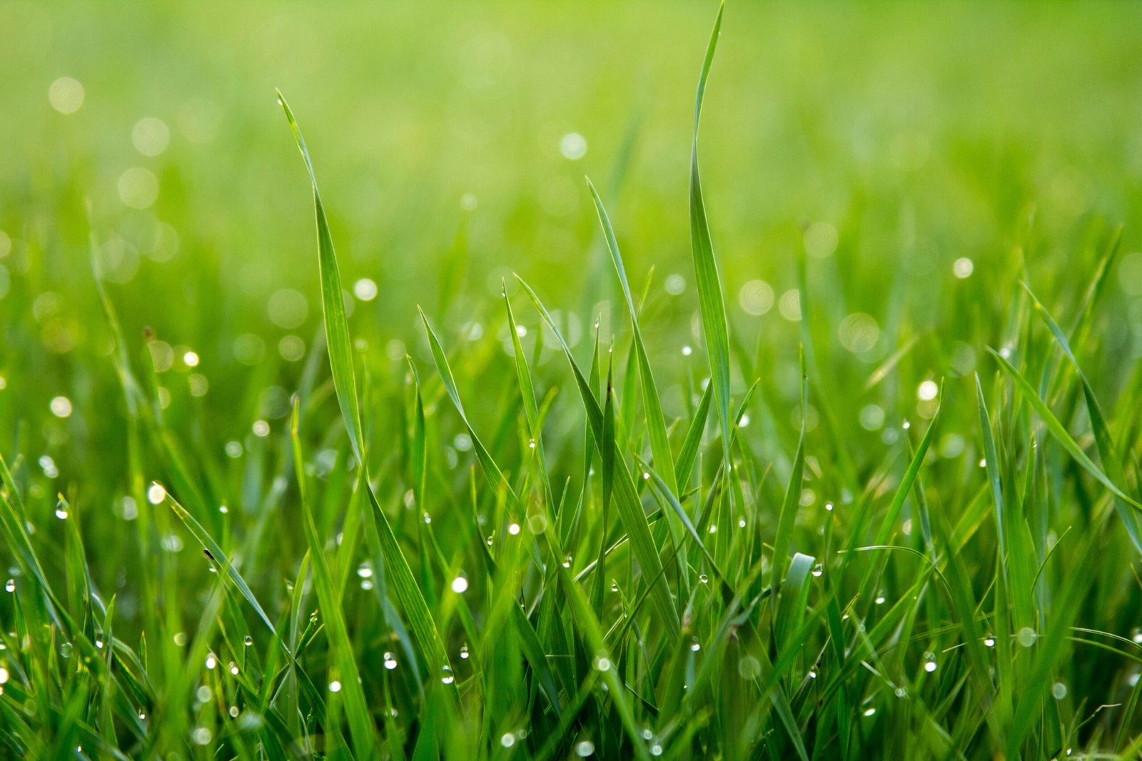 'Touch Grass' Is the Global Movement Gen Z Is Leading (And It's Not Just About Nature)