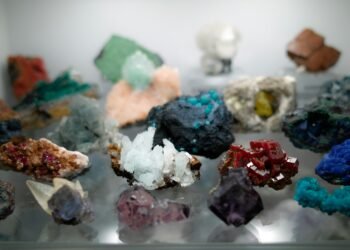 US Eyes Guyana’s Mineral Wealth As Interest In Latin America Grows