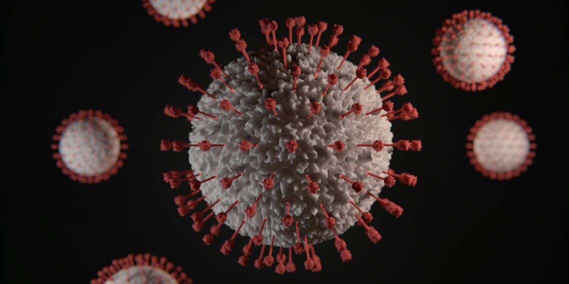 Hantavirus Outbreak Spreads As US, French Passengers Test Positive