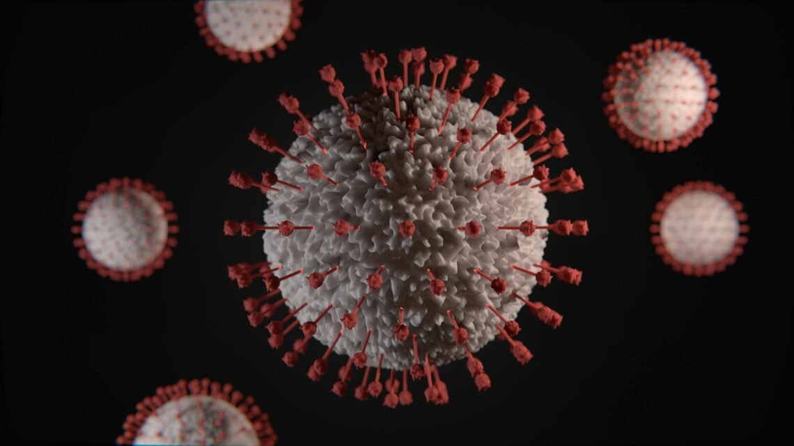 Hantavirus Outbreak Spreads As US, French Passengers Test Positive