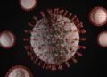 Hantavirus Outbreak Spreads As US, French Passengers Test Positive