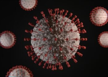 Hantavirus Outbreak Spreads As US, French Passengers Test Positive