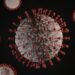 Hantavirus Outbreak Spreads As US, French Passengers Test Positive