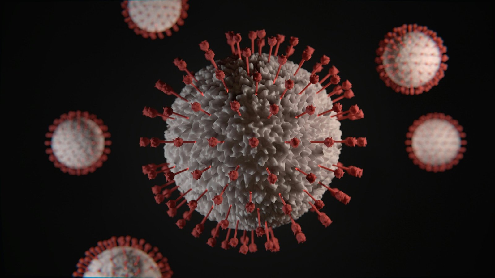 WHO Reveals First Hantavirus Victim On Cruise Ship Was Infected Before Boarding