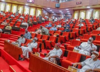 Senate Passes Bill to Allow State Police Forces as Insecurity Crisis Worsens