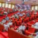 Senate Passes Bill to Allow State Police Forces as Insecurity Crisis Worsens