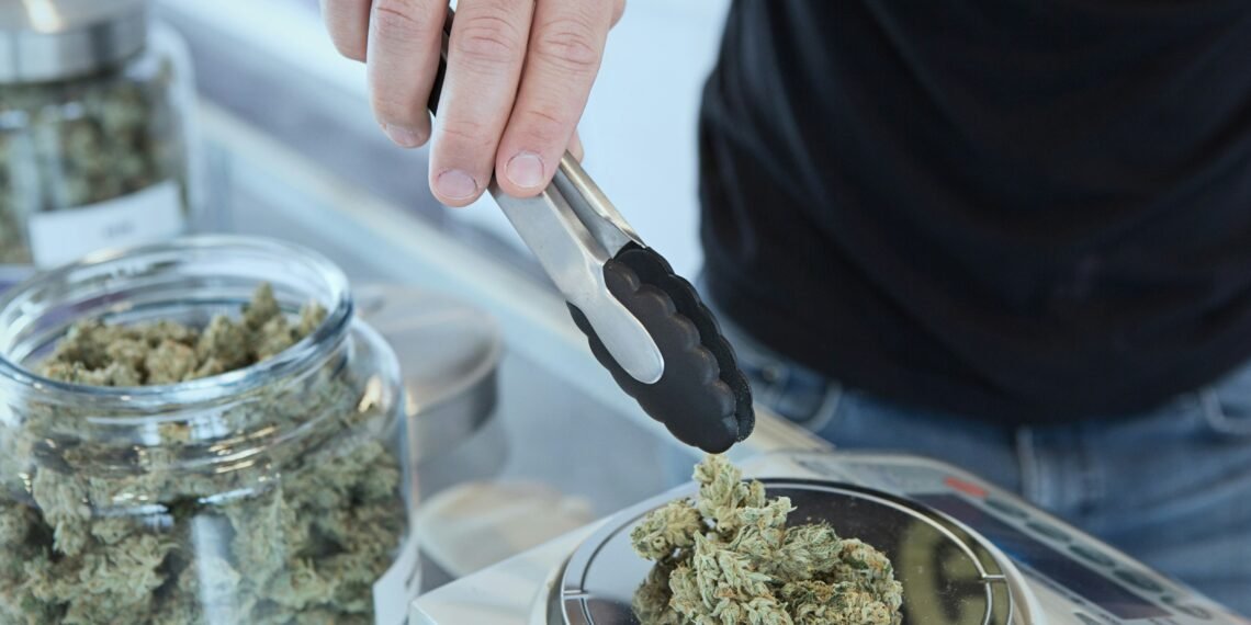 Virginia Approves Framework for Recreational Cannabis Sales in Major Policy Shift