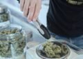 Virginia Approves Framework for Recreational Cannabis Sales in Major Policy Shift