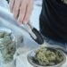 Virginia Approves Framework for Recreational Cannabis Sales in Major Policy Shift