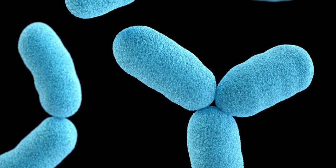 Men Can Lose Their Y Chromosome With Age, Study Finds — and the Health Cost Is Finally Known