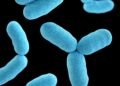Men Can Lose Their Y Chromosome With Age, Study Finds — and the Health Cost Is Finally Known