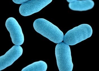 Men Can Lose Their Y Chromosome With Age, Study Finds — and the Health Cost Is Finally Known