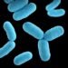 Men Can Lose Their Y Chromosome With Age, Study Finds — and the Health Cost Is Finally Known