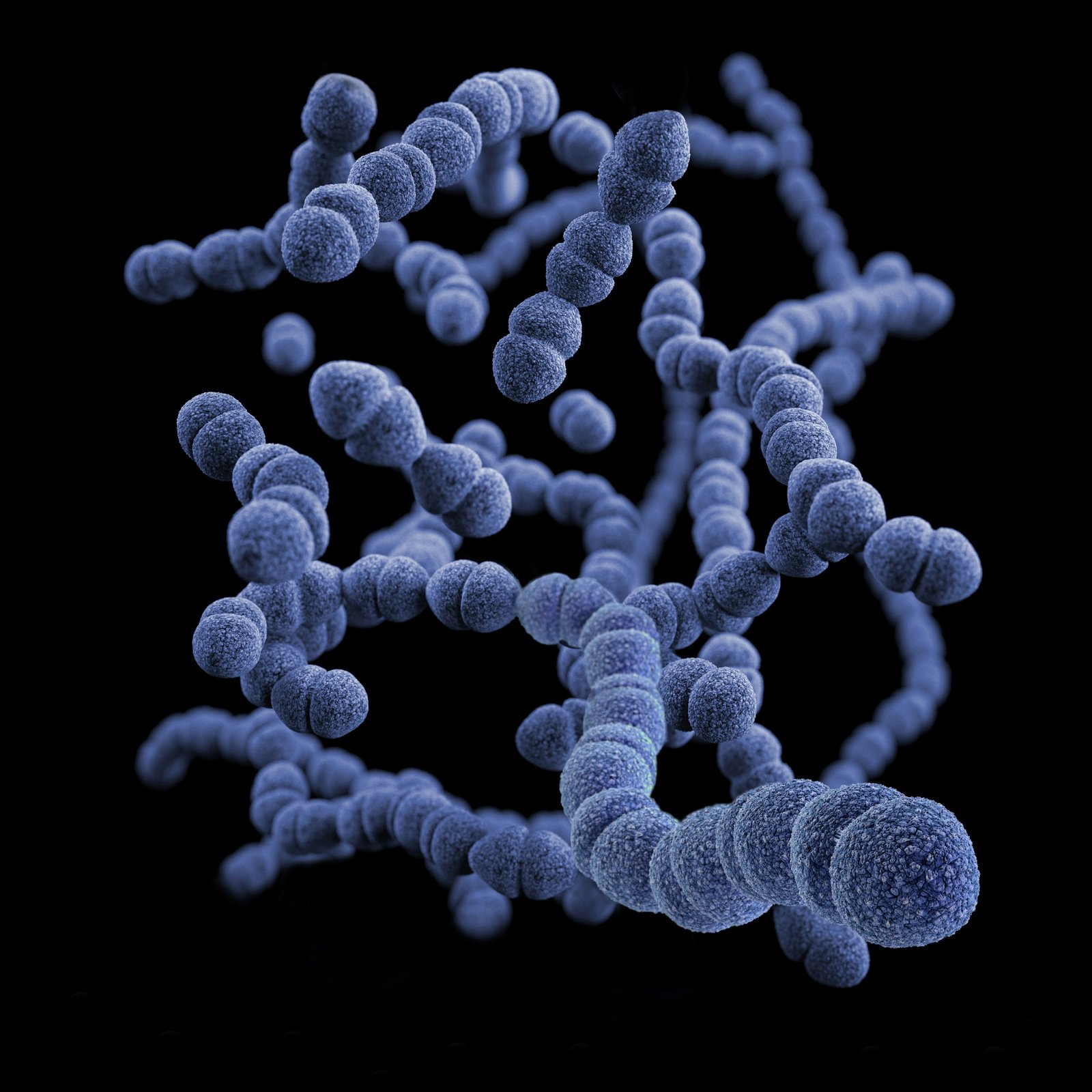 Men Can Lose Their Y Chromosome With Age, Study Finds — and the Health Cost Is Finally Known