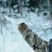 War Reaches Russian Heartland As Ukraine Escalates Drone Attacks