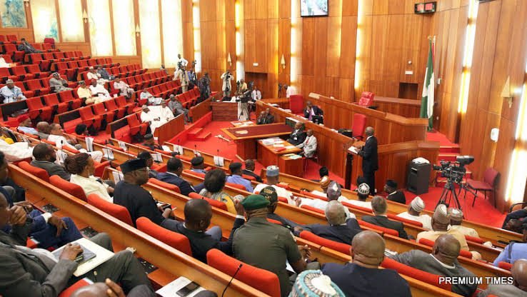 Senate Passes Bill to Allow State Police Forces as Insecurity Crisis Worsens
