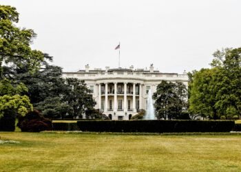 ​Judge Rejects Bid to Block UFC Event at the White House
