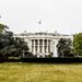 Judge Rejects Bid to Block UFC Event at the White House