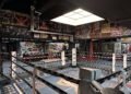 Lawsuit Filed To Halt Historic White House UFC Event