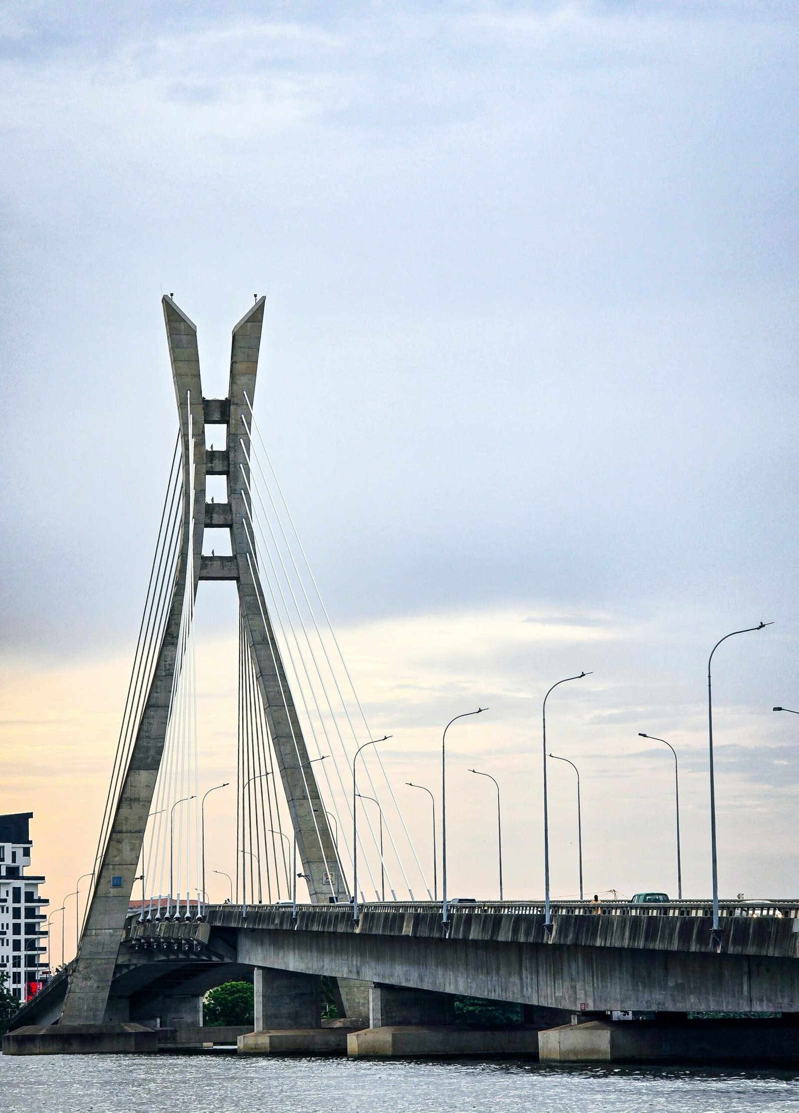Fleeing Xenophobia: Why Migrants Regret Returning to Nigeria