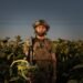 Military-Age Ukrainian Men May Lose Access To EU Protection Under New Proposal