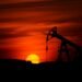 Taxpayers at Risk as Trump Cuts Corporate Drilling Fees