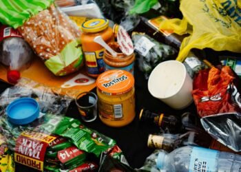 The Cost of More: Why Overconsumption Is Bad for You and the Planet