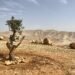 Israeli Ministers Unveil New Illegal Settlement Plans In Gaza And West Bank