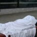 France: Model Recruiter Who Sent Women to Epstein Found Dead