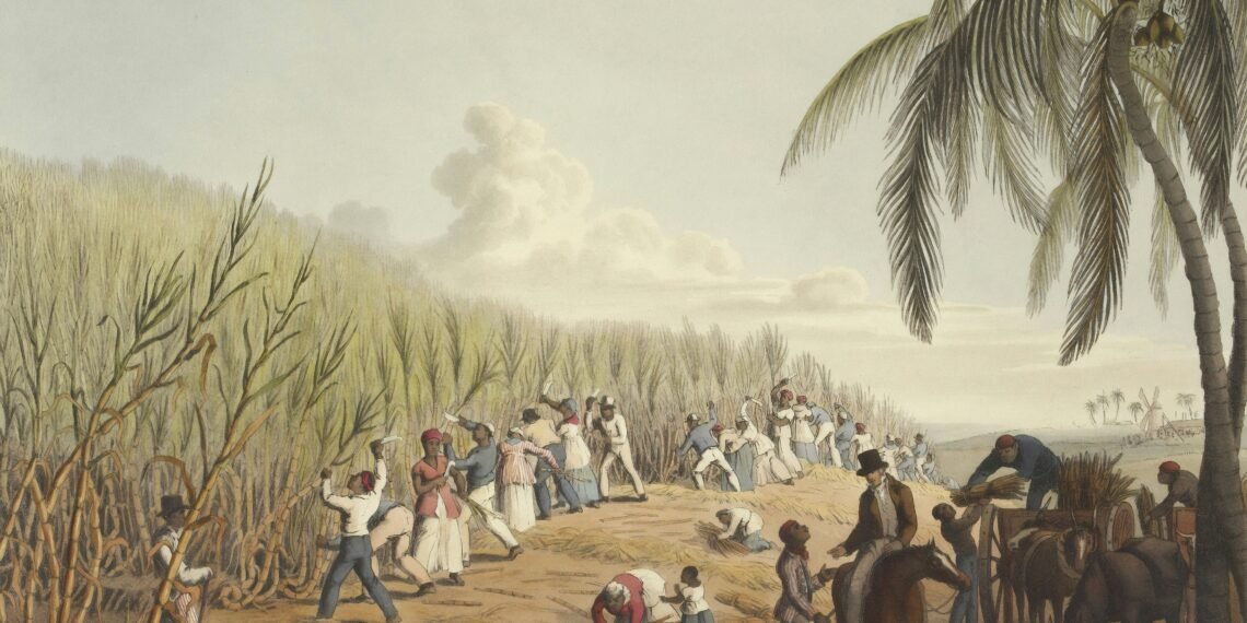 British Corporation Linked To Illegal Trafficking Of Africans To Guyana After Abolition