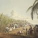 British Corporation Linked To Illegal Trafficking Of Africans To Guyana After Abolition