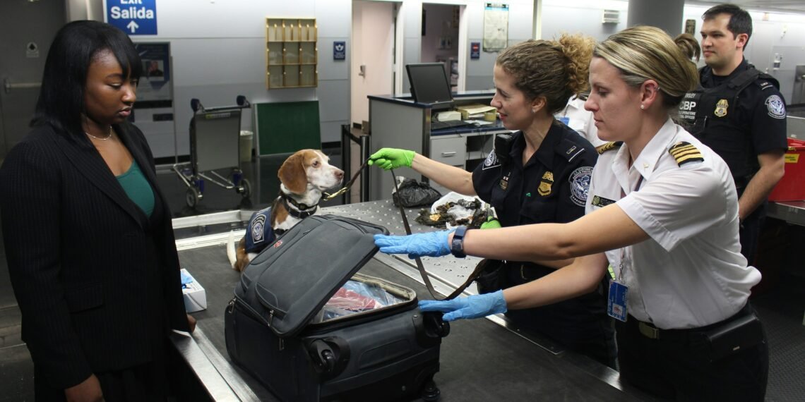 TSA Rejecting Valid Tennessee Real IDs at Airports: What Travelers Need to Know