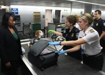 TSA Rejecting Valid Tennessee Real IDs at Airports: What Travelers Need to Know