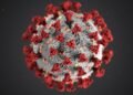 ​Michigan Cyclosporiasis Outbreak: State Reports First 2 Deaths