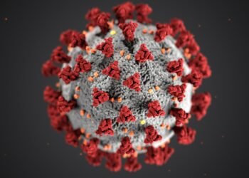​Michigan Cyclosporiasis Outbreak: State Reports First 2 Deaths