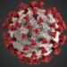 ​Michigan Cyclosporiasis Outbreak: State Reports First 2 Deaths