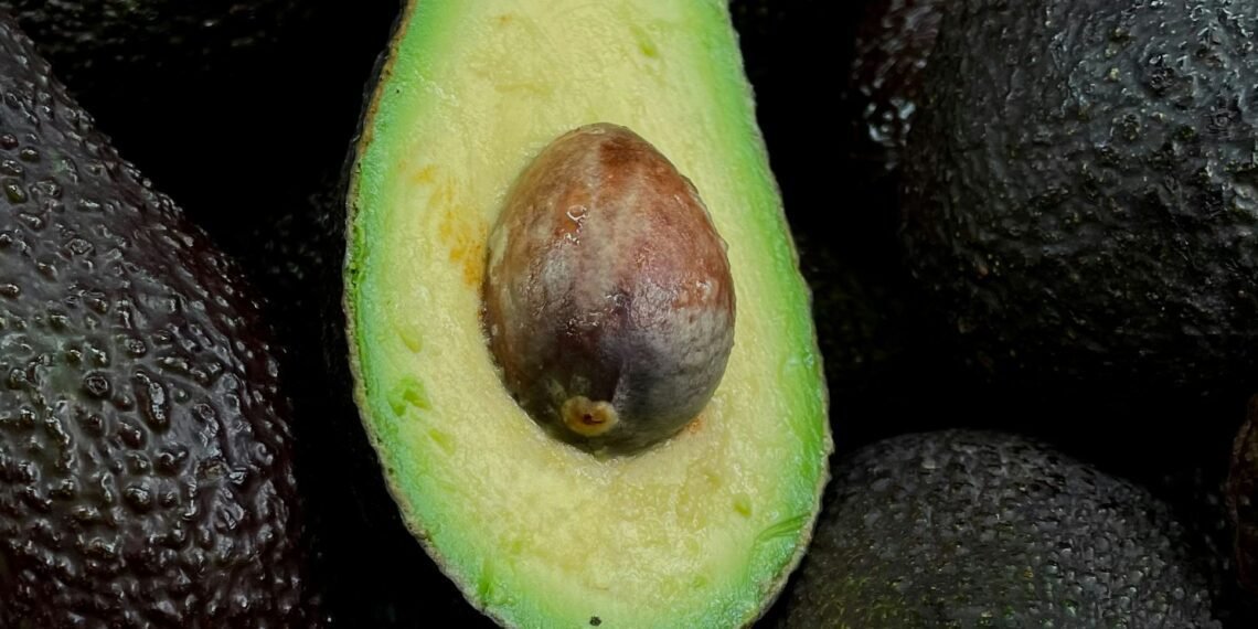 Security Threat Forces US To Suspend Avocado Inspections In Mexico
