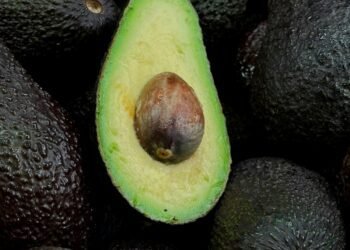 Security Threat Forces US To Suspend Avocado Inspections In Mexico