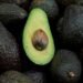 Security Threat Forces US To Suspend Avocado Inspections In Mexico