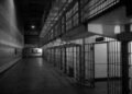 Atlanta Activist Faces Up To Five Years In Prison After CBP Allegedly Wiped Phone