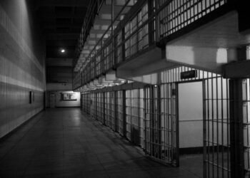 Atlanta Activist Faces Up To Five Years In Prison After CBP Allegedly Wiped Phone