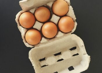 FDA Issues Class I Warning for 1.6 Million Egg Cartons