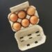 FDA Issues Class I Warning for 1.6 Million Egg Cartons