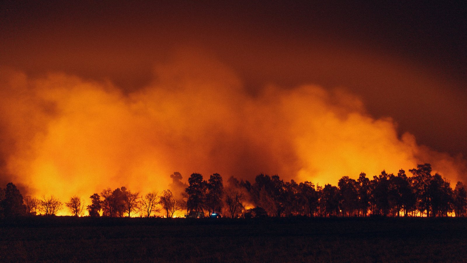 Washington Wildfires Destroy Over 600 Structures as Spokane Fires Spread