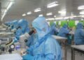 FDA Approves Landmark Pancreatic Cancer Drug That Improves Survival
