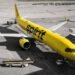 Google Secures Spirit Airlines Emails, Chats, Documents In Bankruptcy Auction