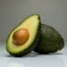 Mexico Sends 1,500 Troops To Michoacán Amid US Avocado Export Halt