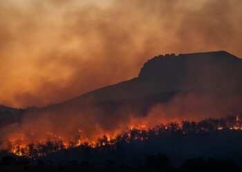 Washington Wildfires Destroy Over 600 Structures as Spokane Fires Spread
