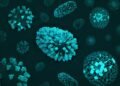 Cyclospora Outbreak Expands to 6 US States, 22,000 Sickened